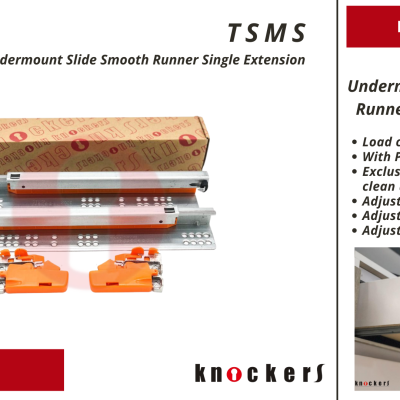 TSMS